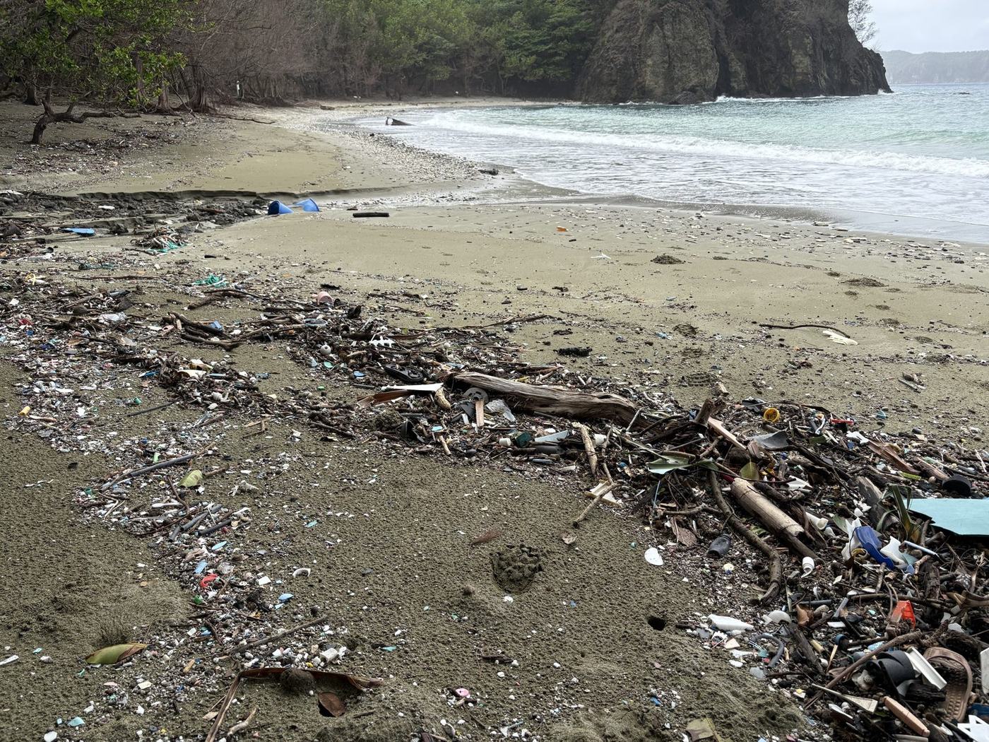 漂着ごみとマイクロプラスチックが打ち上がった海岸